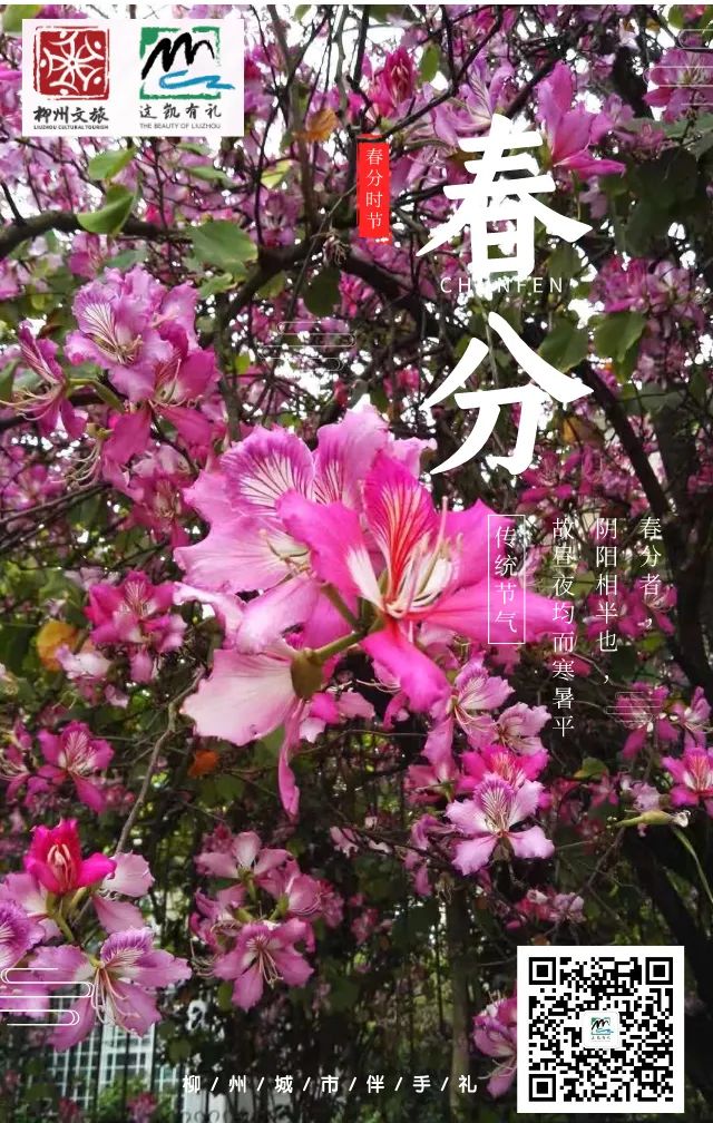 微信圖片_20200330201828.jpg 微信圖片_20200330201828.jpg