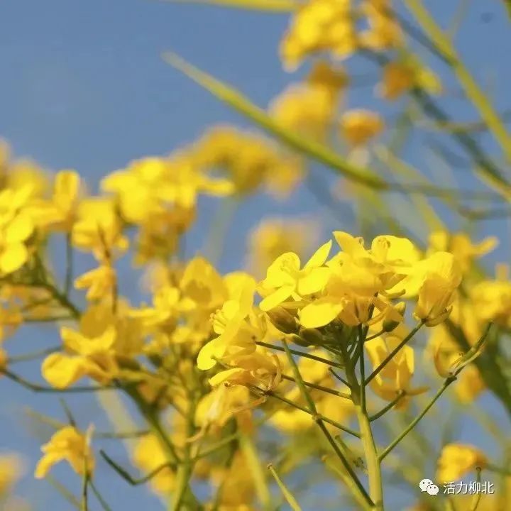 微信圖片_20230106155227.jpg 微信圖片_20230106155227.jpg